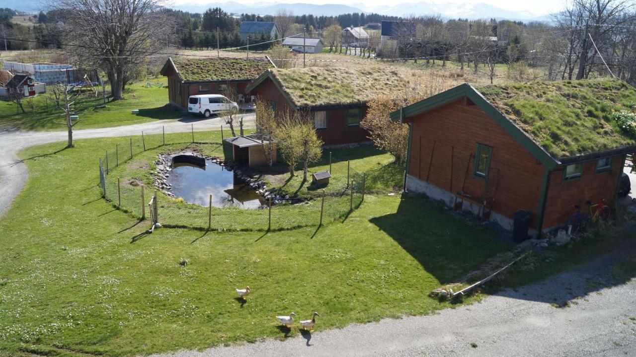Vestavind Hytter Og Rom As Vigra Buitenkant foto