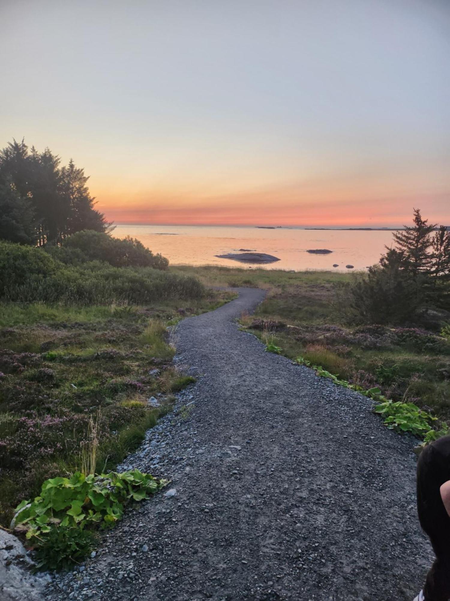 Vestavind Hytter Og Rom As Vigra Buitenkant foto