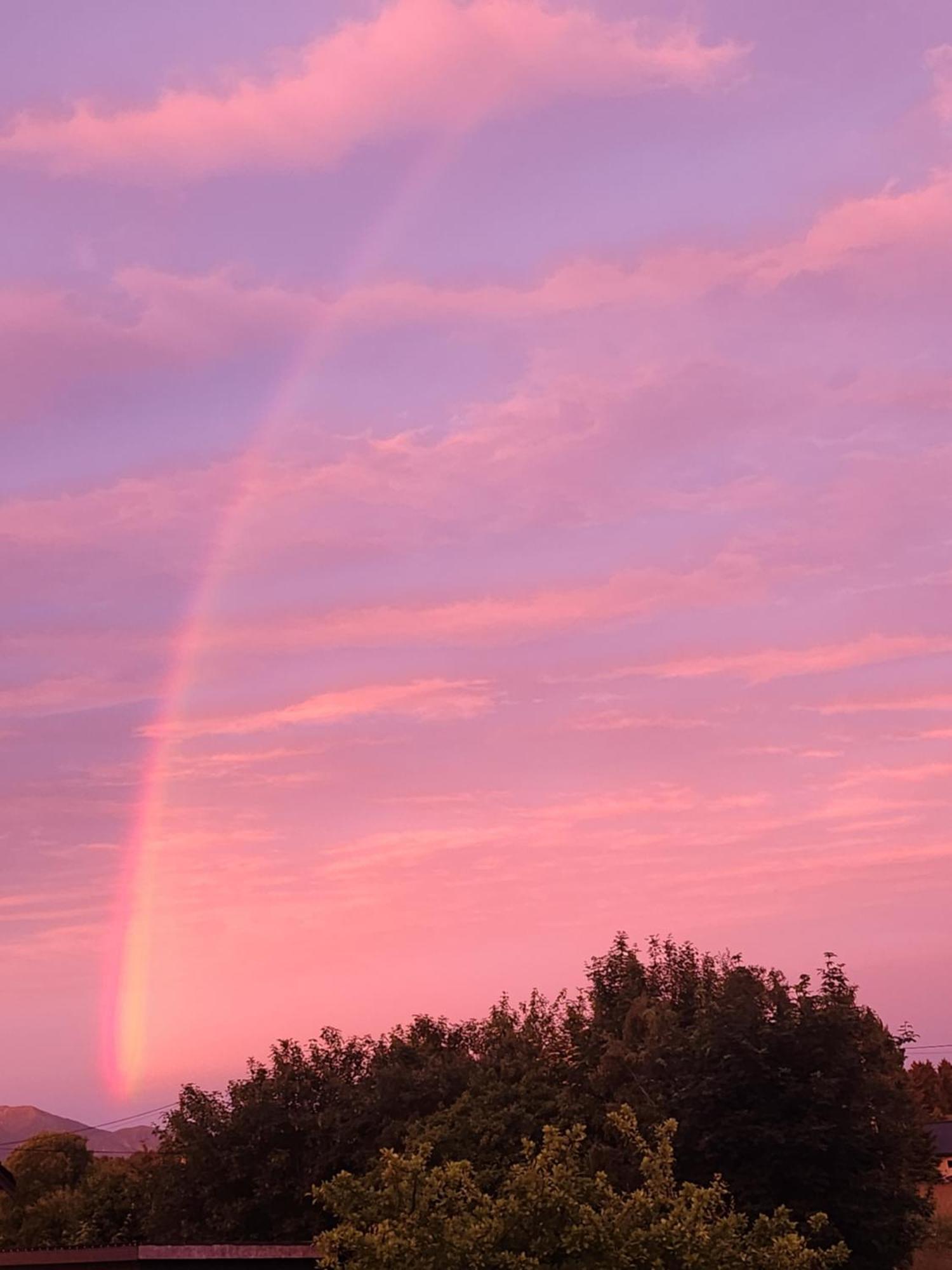 Vestavind Hytter Og Rom As Vigra Buitenkant foto