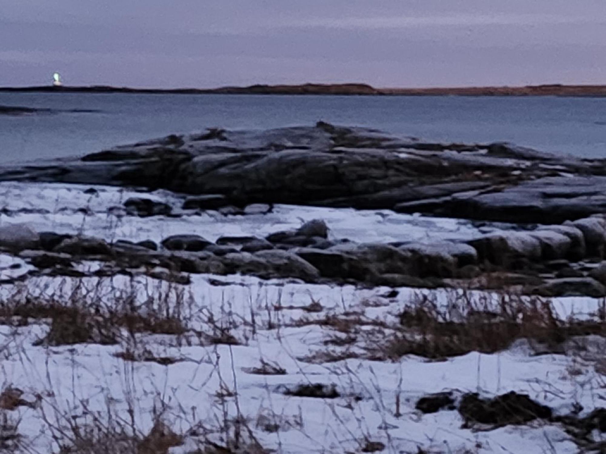 Vestavind Hytter Og Rom As Vigra Buitenkant foto