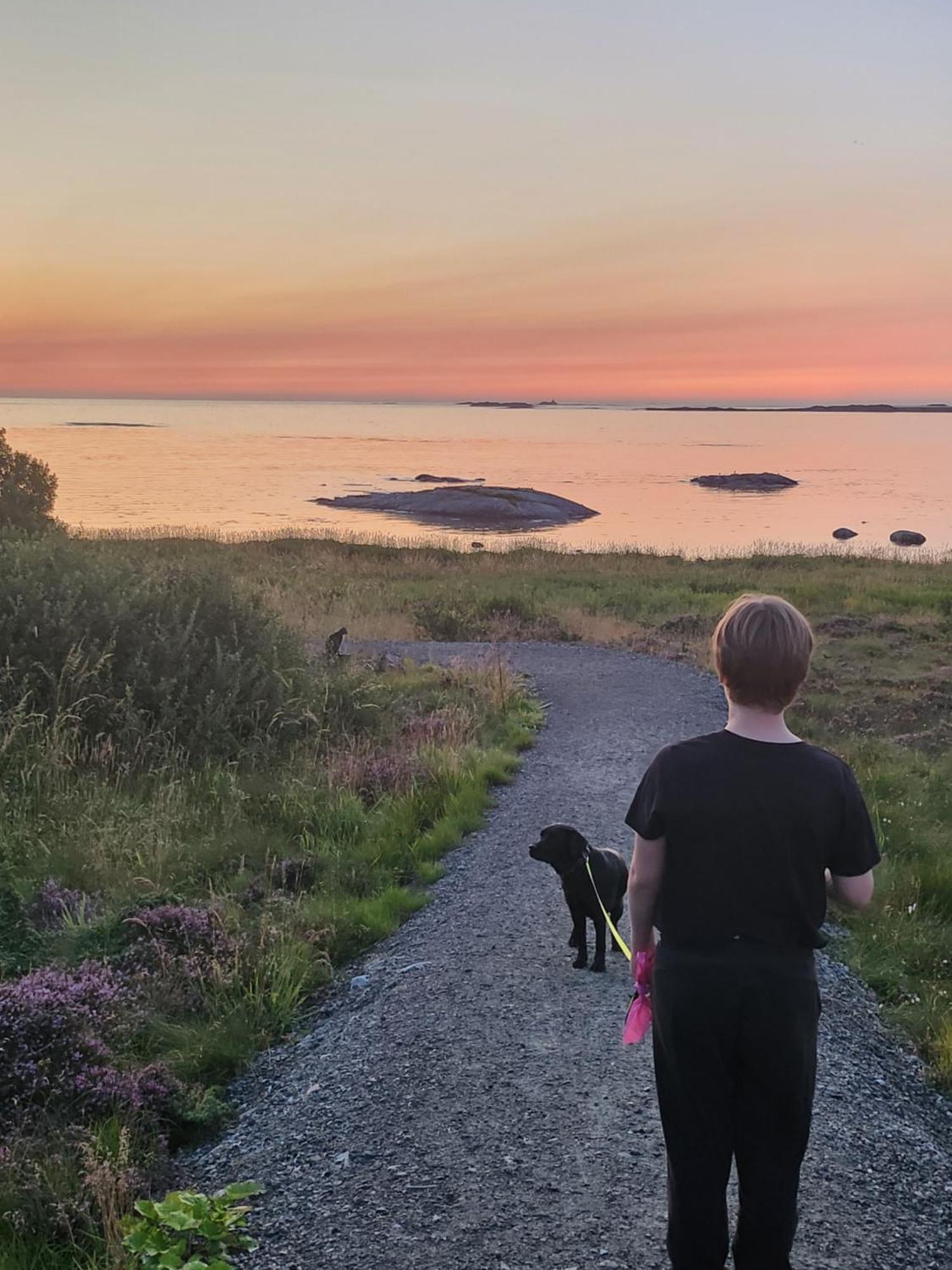 Vestavind Hytter Og Rom As Vigra Buitenkant foto